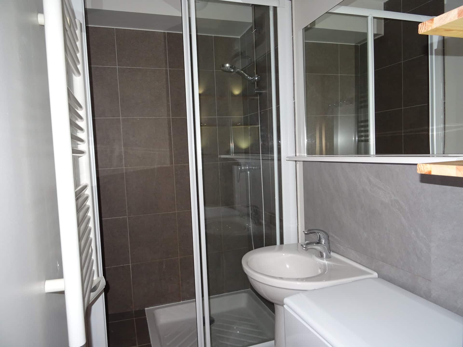 La salle d'eau, avec douche et lave-linge